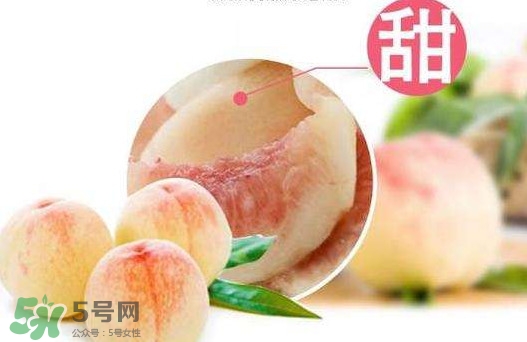 陽(yáng)山水蜜桃多少錢(qián)一斤？無(wú)錫陽(yáng)山水蜜桃價(jià)格