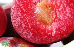 雙華李幾月可以吃？雙華李什么季節(jié)成熟