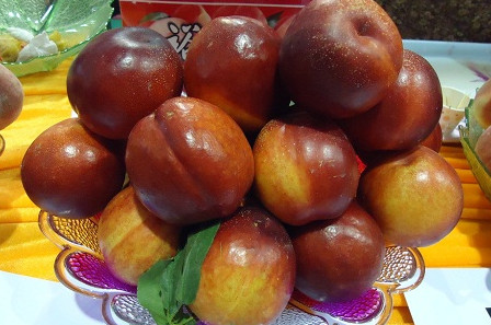 三華李可以用鹽泡嗎？三華李能用鹽水泡嗎