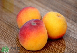 吃完杏子能喝牛奶嗎？杏子和牛奶能一起吃嗎？