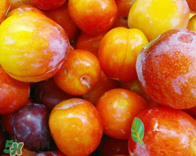 腌李子可以放多久？腌李子吃不完怎么處理？