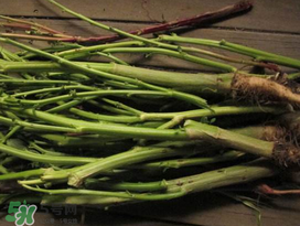 莧菜桿能吃嗎？莧菜桿子可以吃嗎？