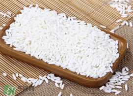 一斤糯米放多少曲酒？一斤糯米放幾克酒曲？