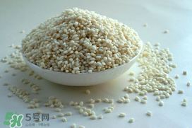 一斤糯米放多少曲酒？一斤糯米放幾克酒曲？