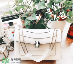 寶格麗蛇頭包有哪幾種尺寸？寶格麗蛇頭包尺寸介紹