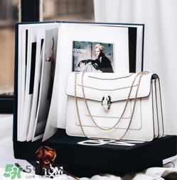 寶格麗蛇頭包有哪幾種尺寸？寶格麗蛇頭包尺寸介紹