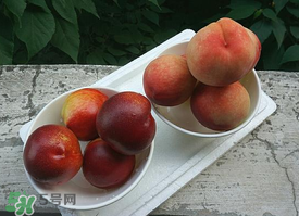 毛桃怎么保存？毛桃可以放冰箱？