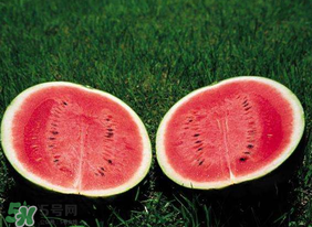 杏和西瓜能一起吃嗎？杏和西瓜能同時吃嗎？