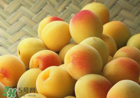 杏和雞蛋能一起吃嗎？杏子和雞蛋能一起吃嗎？