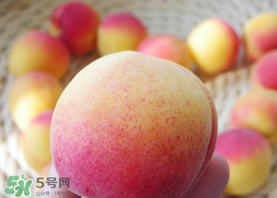 杏的熱量高嗎？一個杏的熱量是多少？