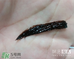 眉膠是什么？眉膠好用嗎