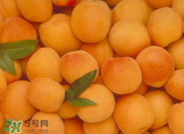 杏怎么催熟？杏怎么放熟的快？