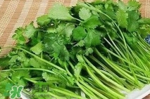 香菜洗腎有科學(xué)依據(jù)么？香菜能洗腎是真的嗎？