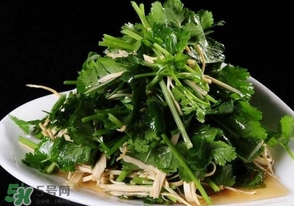 香菜是什么菜？香菜是陽痿草嗎？