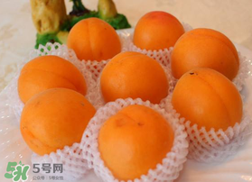 杏子可以放冰箱嗎？杏子可以冷藏嗎？