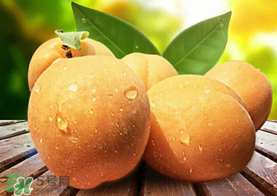 新鮮杏子怎么吃？新鮮杏子孕婦能吃嗎？