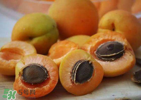 新鮮杏子怎么吃？新鮮杏子孕婦能吃嗎？