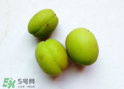 青杏怎么催熟？青杏怎么變黃？