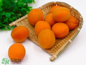 黃杏孕婦可以吃嗎？孕婦可以吃黃杏嗎？