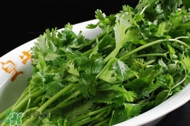香菜是感光食物嗎？香菜是不是感光食物