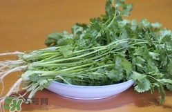 香菜是寒性食物嗎？香菜是熱性還是涼性？