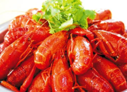 清蒸龍蝦需要多長時間？清蒸龍蝦要蒸多久？