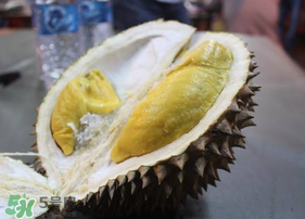 貓山王榴蓮多少錢一斤 貓山王榴蓮多少錢一斤最新價格 貓山王榴蓮多少錢一斤 貓山王榴蓮多少錢一斤最新價格