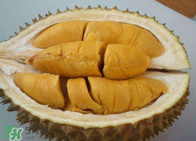 貓山王榴蓮怎樣才熟？貓山王榴蓮怎么催熟？