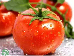 杏和西紅柿能一起吃嗎？杏子能和西紅柿一起吃嗎？