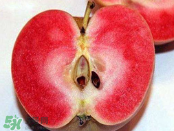 杏和蘋(píng)果可以一起吃嗎？杏子和蘋(píng)果可以一起吃嗎？