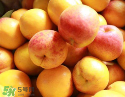 杏和蘋(píng)果可以一起吃嗎？杏子和蘋(píng)果可以一起吃嗎？