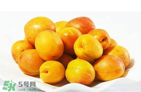 杏和荔枝能一起吃嗎？杏和荔枝一起吃會(huì)中毒嗎？