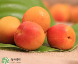 杏子可以空腹吃嗎？空腹能吃杏子嗎？