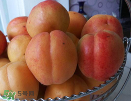 杏子可以空腹吃嗎？空腹能吃杏子嗎？