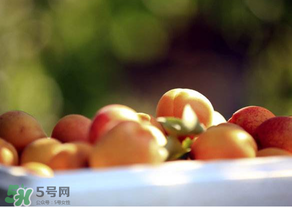 杏子好吃嗎？杏子可以多吃嗎？