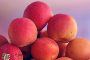 杏子好吃嗎？杏子可以多吃嗎？