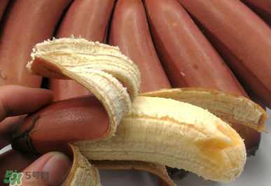 紅香蕉好吃嗎？紅香蕉味道怎么樣？