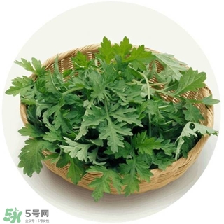 lululun plus面膜怎么樣？lululun plus面膜哪款好