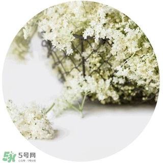 lululun plus面膜怎么樣？lululun plus面膜哪款好