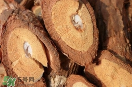 山葡萄根一斤多少錢？山葡萄根功效與作用