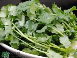 香菜是發(fā)物嗎？香菜是不是發(fā)物