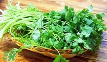 香菜是寒性食物嗎？香菜是熱性還是涼性？