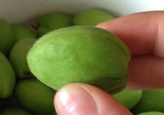 青杏怎么催熟？青杏怎么變黃？