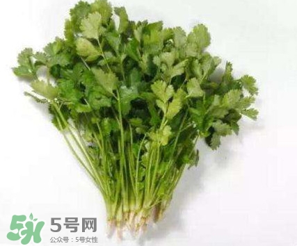 香菜洗腎有科學(xué)依據(jù)么？香菜能洗腎是真的嗎？