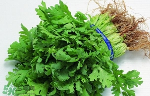 香菜是回奶的嗎？香菜是回奶還是下奶