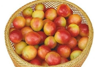 杏子好吃嗎？杏子可以多吃嗎？