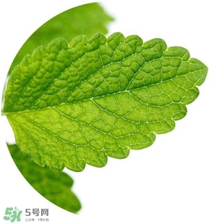 lululun plus面膜怎么樣？lululun plus面膜哪款好