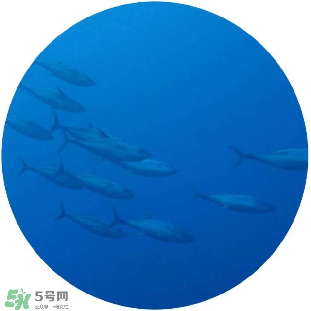 lululun plus面膜怎么樣？lululun plus面膜哪款好