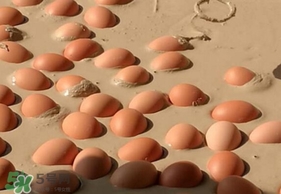 變蛋是什么蛋？變蛋是怎么做的？