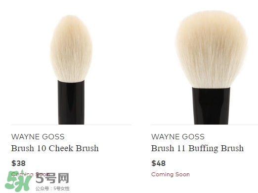 wayne goss是什么牌子？wayne goss化妝刷怎么樣？